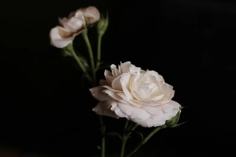 Rouwbloemen — Begrafenissen Vanderborght