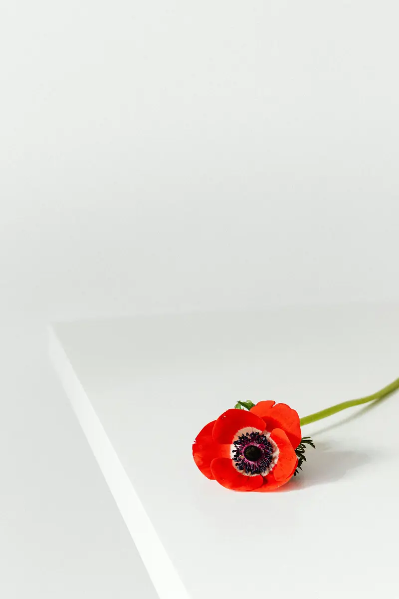 Rouwbloemen — Fraeyman Uitvaartzorg